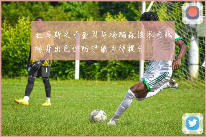 杜马斯之子奎因与杨瀚森技术内线转身出色但防守能力待提升
