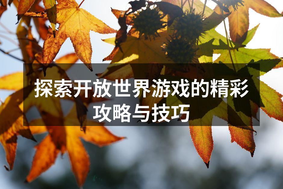 探索开放世界游戏的精彩攻略与技巧